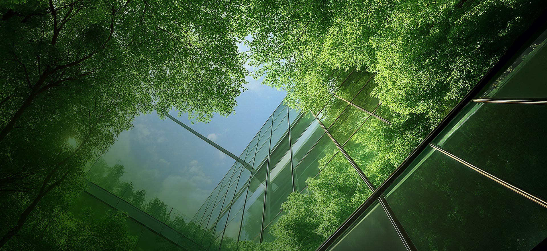 Tubes for window and door frames - Marcegaglia Carbon Steel